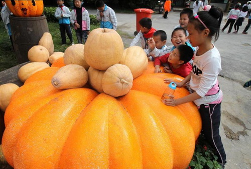 Halloween pumpkin festival kicks off in China's Nantong