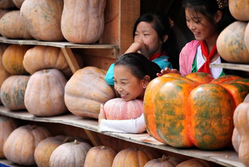 Halloween pumpkin festival kicks off in China's Nantong