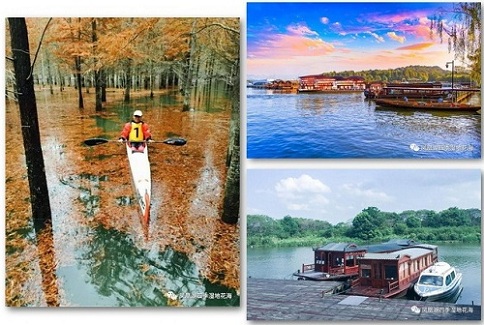 Wetland scenic spot to open in Taicang
