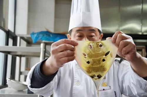 Right time for tasty globefish