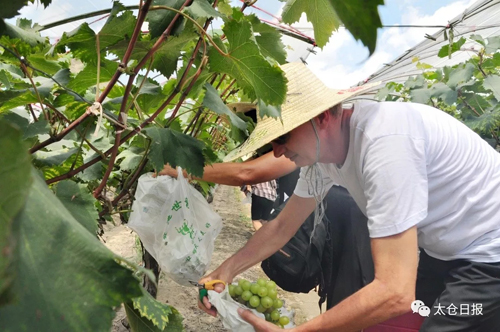 Italian tourist group visits Taicang