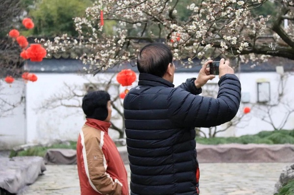 Admire plum blossoms in South Garden