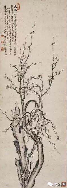 Admire painting, calligraphy exhibition at Taicang Museum