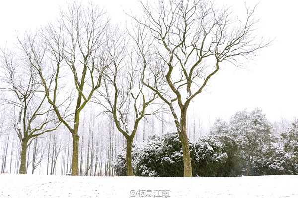 Snowy scenes across Wuxi