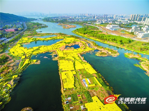 Vibrant Changguangxi Wetland Park