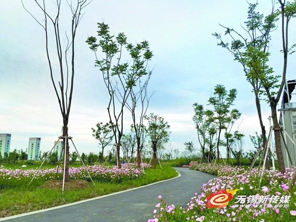 Amway's R&D garden in Wuxi