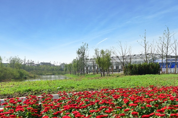 Amway's R&D garden in Wuxi