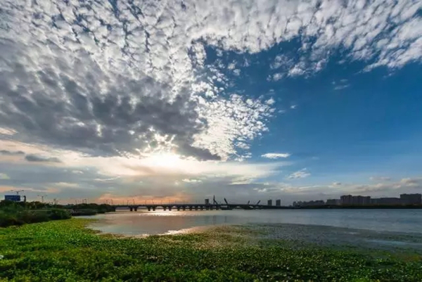 Beautiful landscapes along the track of Wuxi Marathon