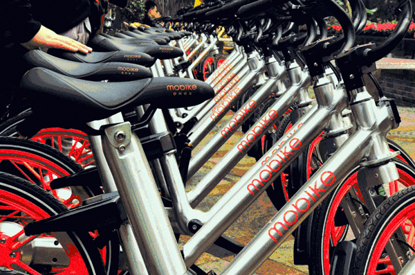 Wuxi to add 10,000 public bikes