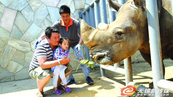 Wuxi Zoo prepares Dragon Boat feast for its animals