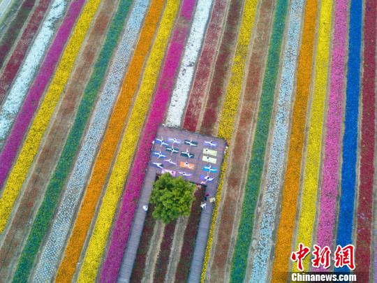 Yoga group performs lotus positions among the flowers in Wuxi