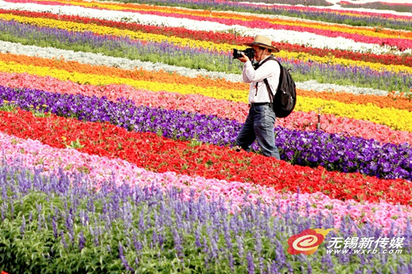 Floral rainbow lights up the horizon at Xuelang Mountain