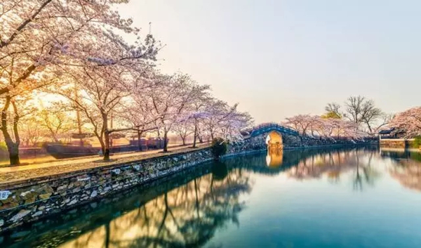 Wuxi achieves 'Green World City' status