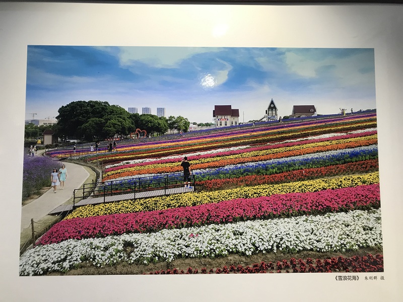 Photo exhibition shows beautiful Wuxi