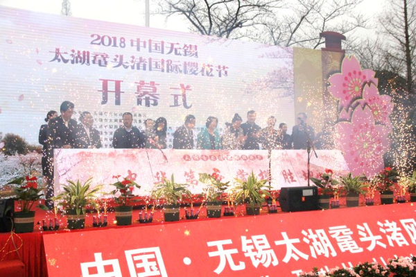 Wuxi's annual cherry blossom festival to make spring pink