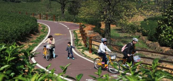 Yixing's public bicycle service standard promoted in Jiangsu