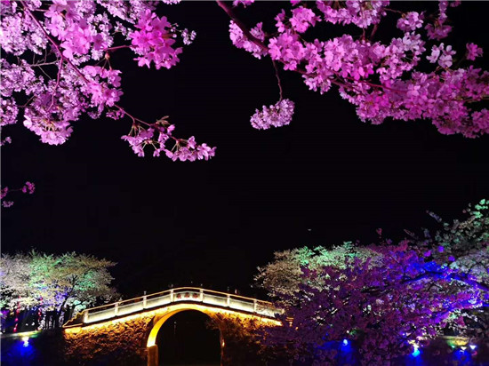 2018 Wuxi Intl Cherry Blossom Week beckons