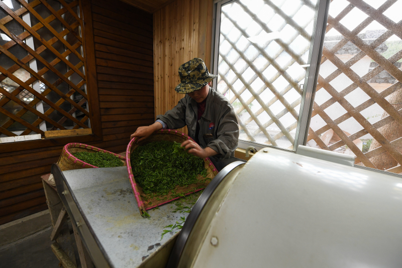 Rural revitalization comes with pristine environment in Yixing