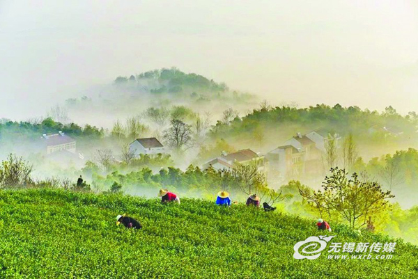 Yixing bags two awards at 2018 China's Most Beautiful Villages and Towns