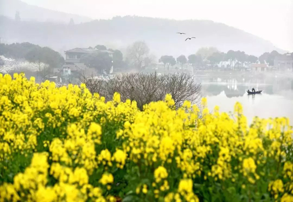 Aerial photos capture Wuxi's beauty