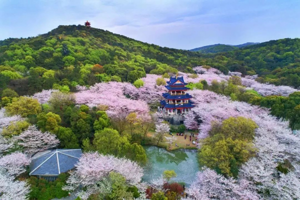 Aerial photos capture Wuxi's beauty