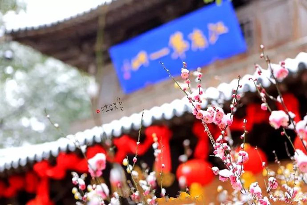 Wuxi entertains 3.1 million visitors during Spring Festival