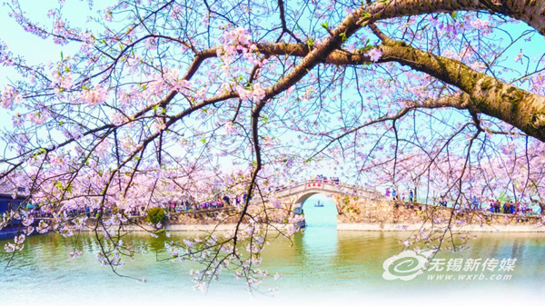 Time to enjoy flower blossoms in Wuxi