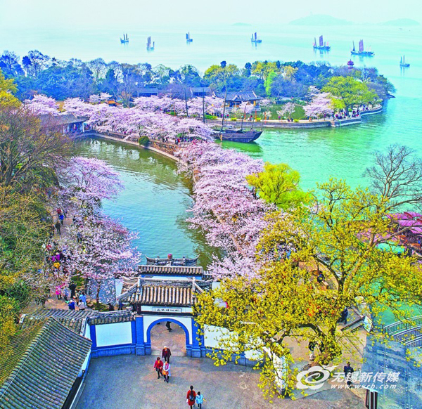 Time to enjoy flower blossoms in Wuxi