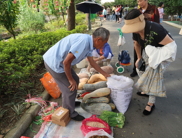 Yangshan town celebrates harvest