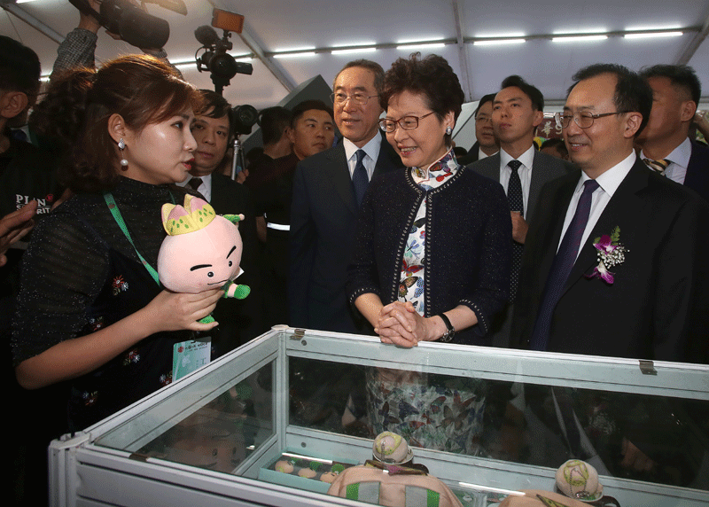 Jiangsu Cultural Carnival opens in HK