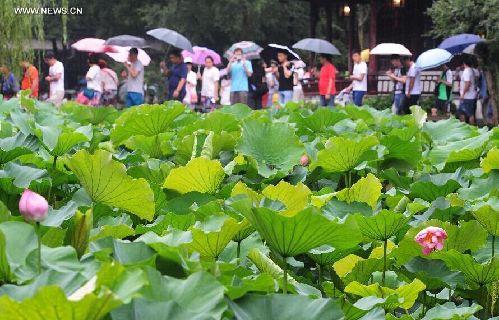 20th Lotus Festival kicks off at E China's Zhuozheng Yuan Garden