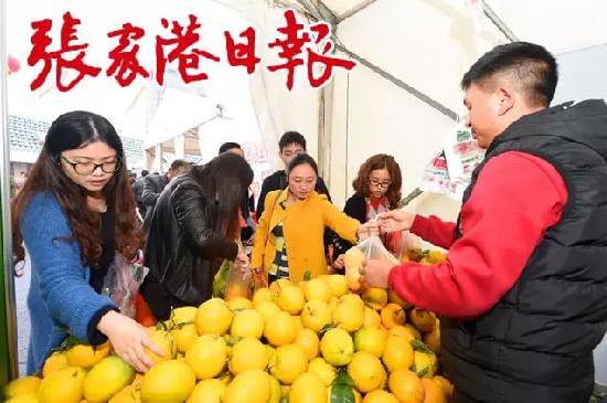 Cross-Straits agriculture expo concludes in Zhangjiagang