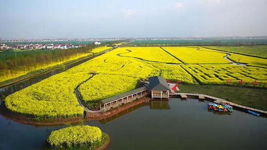 Soak up the golden countryside in Zhangjiagang