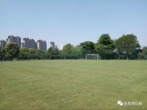 Zhangjiagang to open first ecological football park