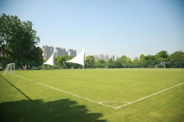 Zhangjiagang to open first ecological football park