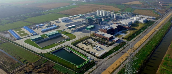 Jingang town: 40 years of development