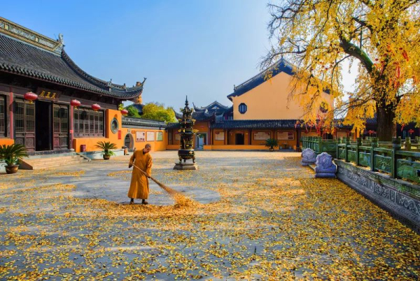 Zhangjiagang embraces autumn colors