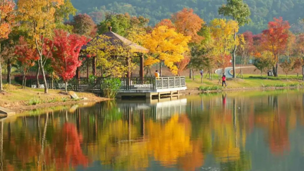 Zhangjiagang embraces autumn colors