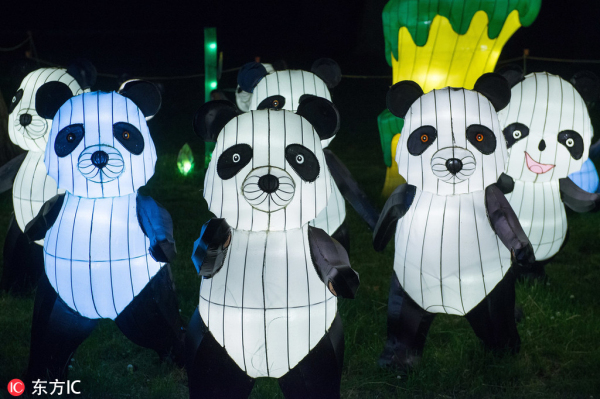 Lanterns light up the world