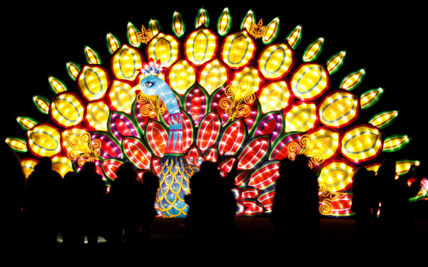 Lanterns light up the world