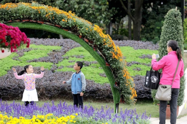 Chrysanthemum flowers brighten up port city in autumn