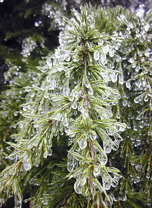 Icicles appear in Jinggang Mountain