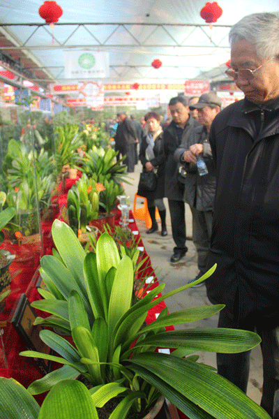 Changchun flower expo sees large number of visitors