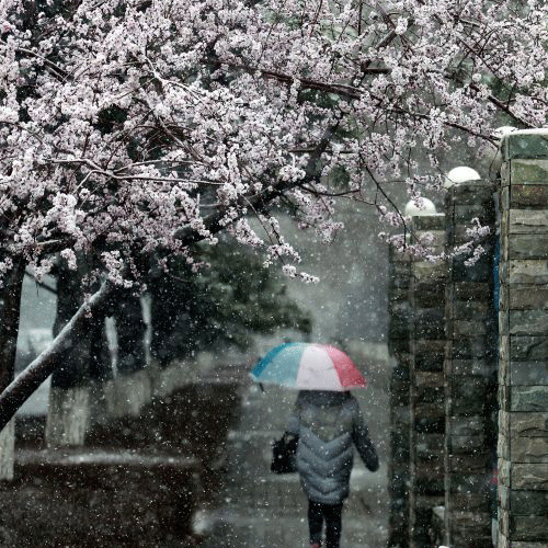 Snowfall hits Jilin a month ahead of summer