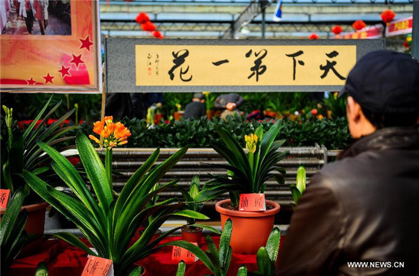 China (Changchun) Flower Expo kicks off