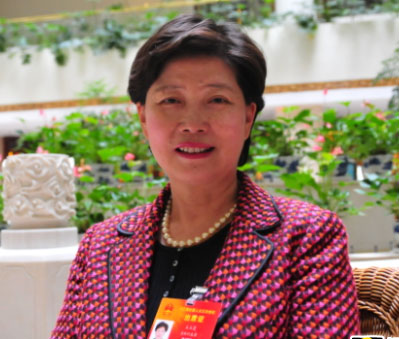 NPC deputy addresses people's inquiries