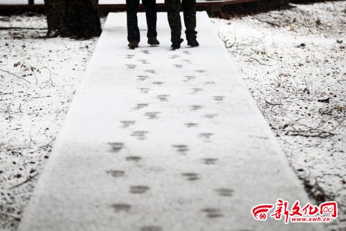 Snowfall hits Jilin a month ahead of summer