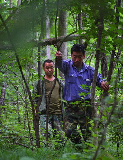 Protecting the wildlife in the forests of NE China