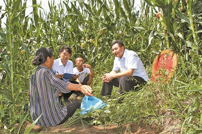 Jilin lawyers settle disputes for farmers