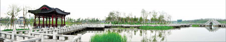 Talent holds the key for Changchun industrial park